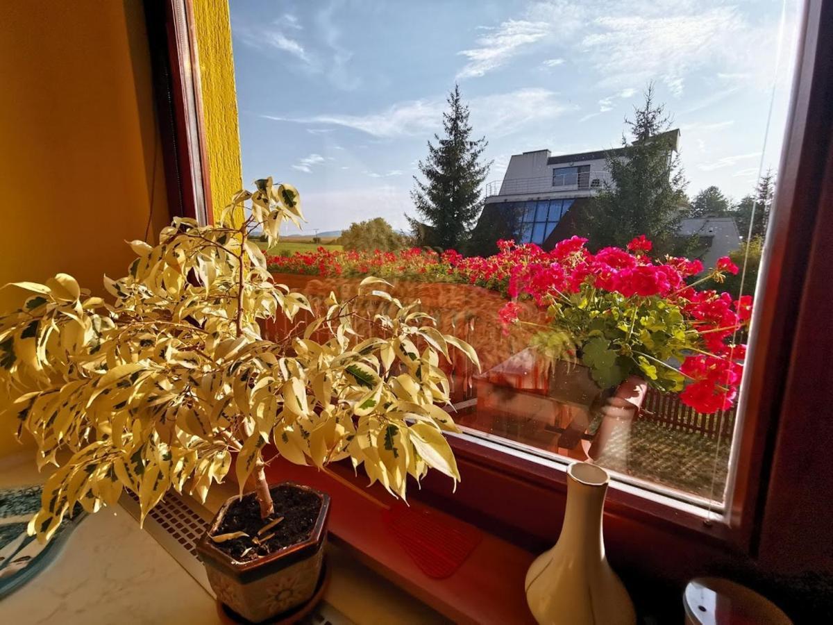 Apartman Adrianka Turčianske Teplice Exterior foto